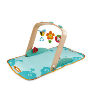 Baby Gym