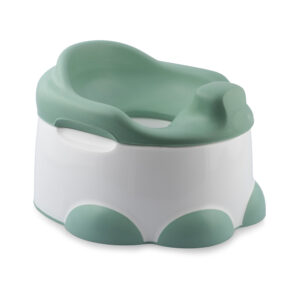 Step n Potty